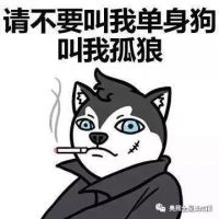 奥邦与你指引|520单身狗指南